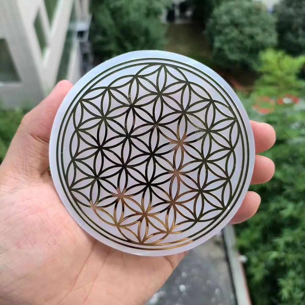 49684492648782|49684492681550|49684492714318