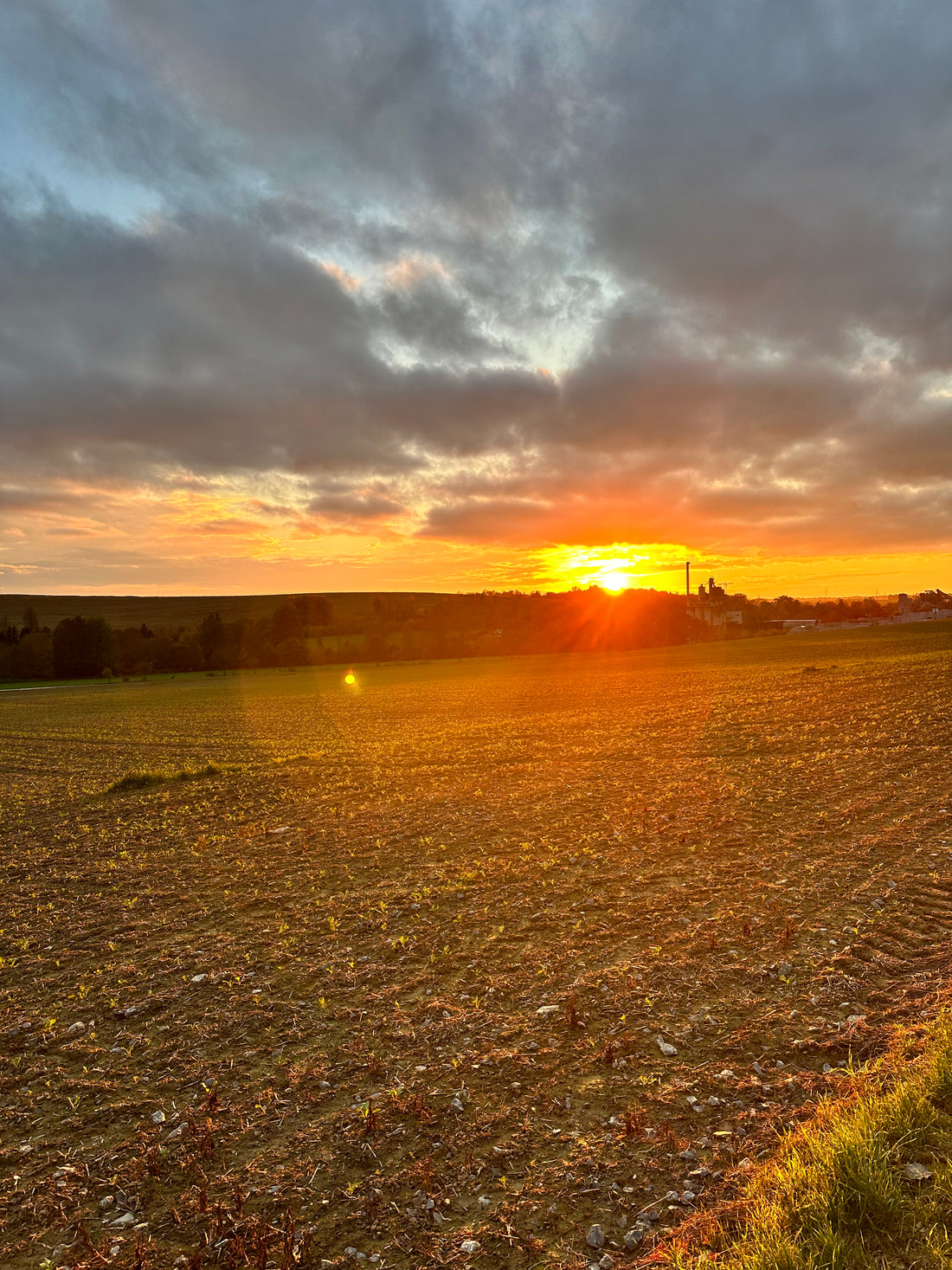 Vitamin-D-Mangel in Deutschland: Warum so viele Menschen betroffen sind und was wir tun können