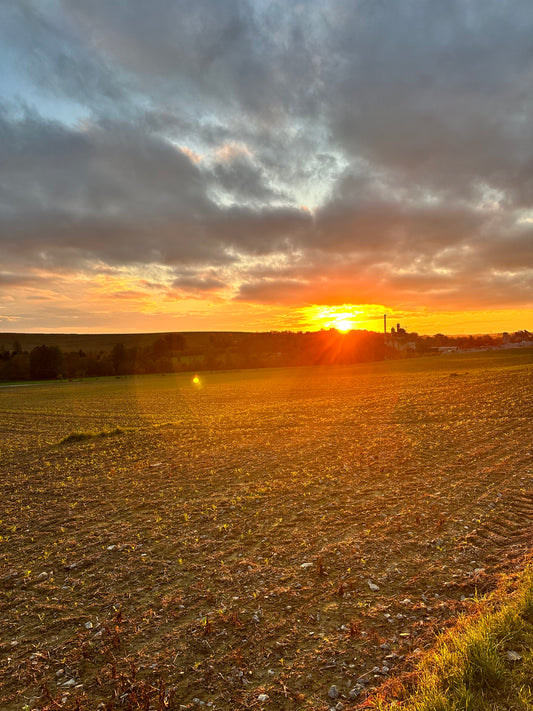 Vitamin-D-Mangel in Deutschland: Warum so viele Menschen betroffen sind und was wir tun können