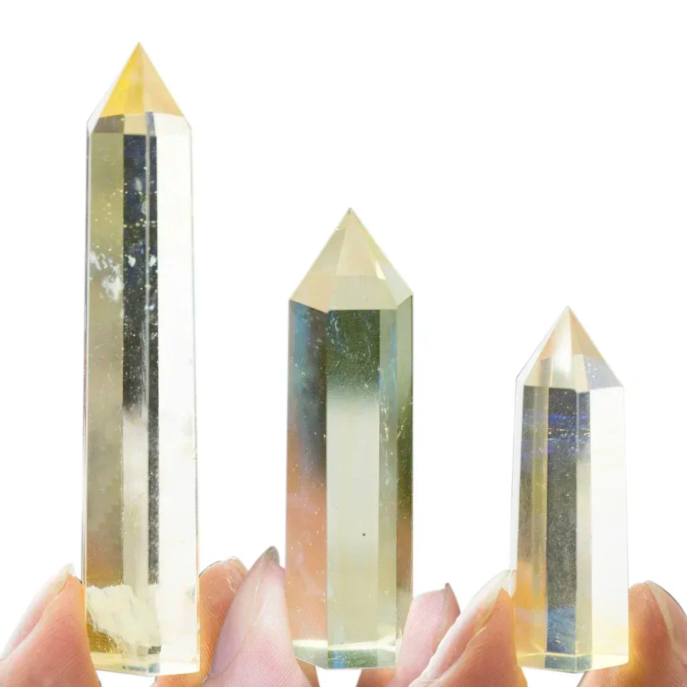 49667859022158|49667859054926|49667859120462