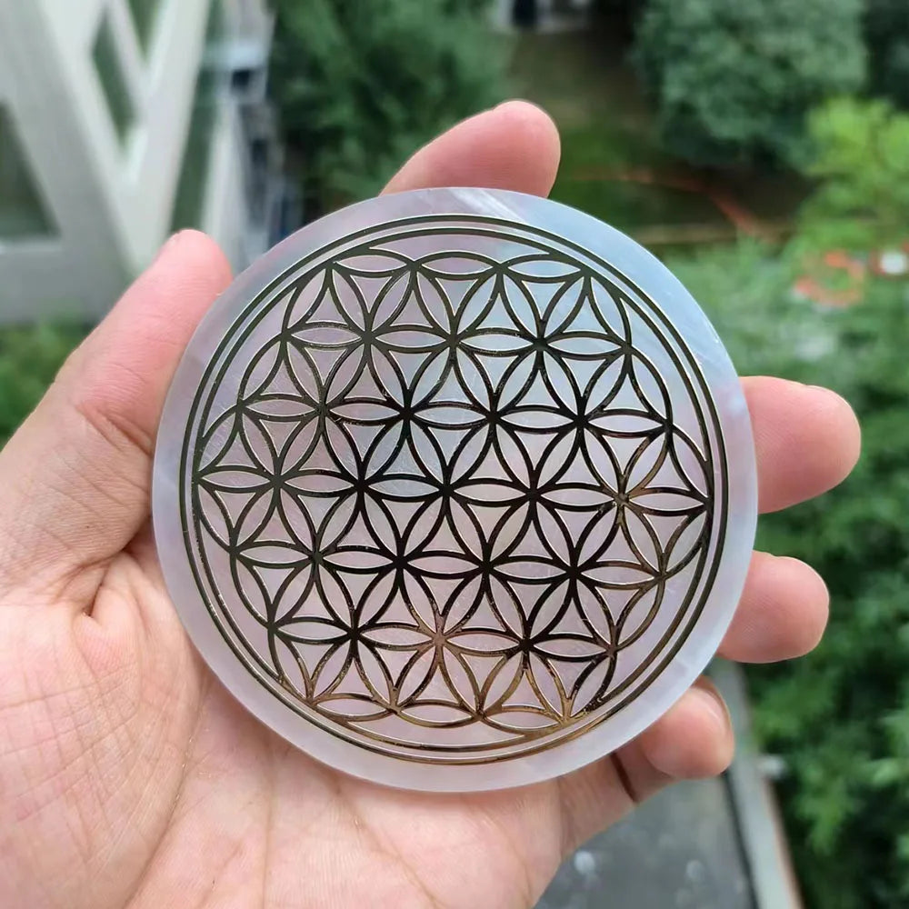 49684492550478|49684492583246|49684492616014