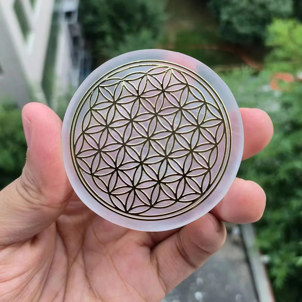 49684492452174|49684492484942|49684492517710